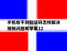 手机收不到验证码怎样解决视频问题呢苹果12