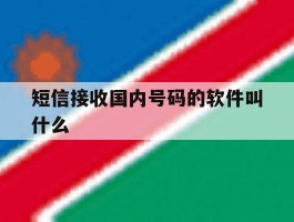 短信接收国内号码的软件叫什么