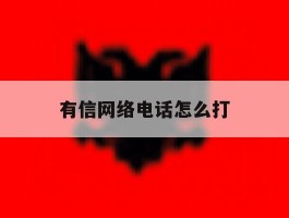有信网络电话怎么打