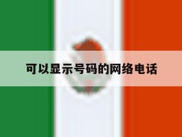 可以显示号码的网络电话