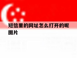短信里的网址怎么打开的呢图片