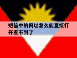 短信中的网址怎么能直接打开看不到了