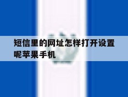 短信里的网址怎样打开设置呢苹果手机
