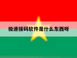 极速接码软件是什么东西呀