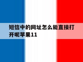 短信中的网址怎么能直接打开呢苹果11