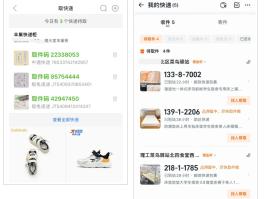 极速接码软件是什么意思呀