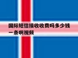 国际短信接收收费吗多少钱一条啊视频