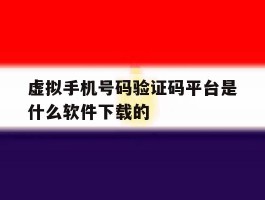 虚拟手机号码验证码平台是什么软件下载的