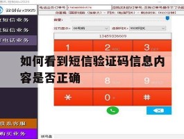 如何看到短信验证码信息内容是否正确