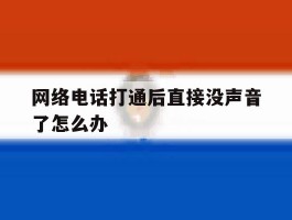 网络电话打通后直接没声音了怎么办