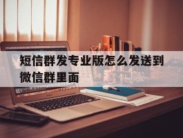 短信群发专业版怎么发送到微信群里面