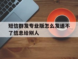 短信群发专业版怎么发送不了信息给别人