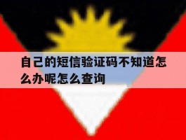 自己的短信验证码不知道怎么办呢怎么查询