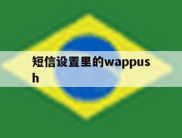 短信设置里的wappush