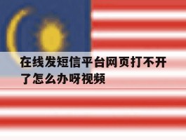 在线发短信平台网页打不开了怎么办呀视频