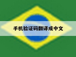 手机验证码翻译成中文