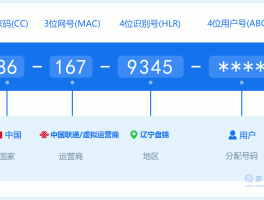 美国虚拟手机号网站查询软件是什么名字