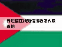 云短信在线短信接收怎么设置的