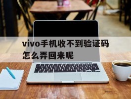 vivo手机收不到验证码怎么弄回来呢