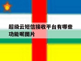 超级云短信接收平台有哪些功能呢图片