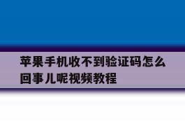 苹果手机收不到验证码怎么回事儿呢视频教程