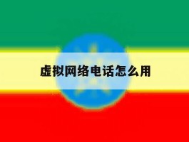虚拟网络电话怎么用