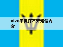vivo手机打不开短信内容