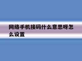 网络手机接码什么意思呀怎么设置
