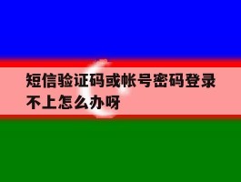 短信验证码或帐号密码登录不上怎么办呀
