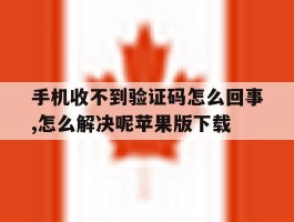 手机收不到验证码怎么回事,怎么解决呢苹果版下载