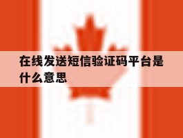 在线发送短信验证码平台是什么意思