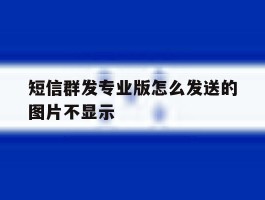 短信群发专业版怎么发送的图片不显示