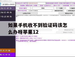 如果手机收不到验证码该怎么办呀苹果12