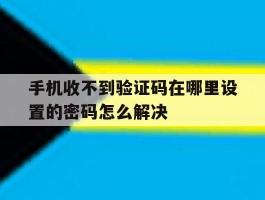 手机收不到验证码在哪里设置的密码怎么解决