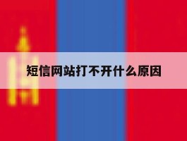 短信网站打不开什么原因