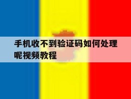 手机收不到验证码如何处理呢视频教程