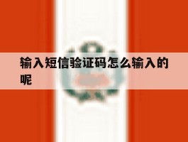 输入短信验证码怎么输入的呢