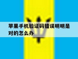 苹果手机验证码错误明明是对的怎么办