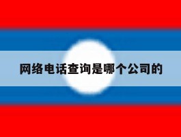 网络电话查询是哪个公司的