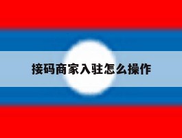 接码商家入驻怎么操作