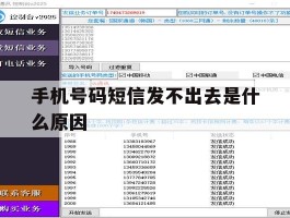 手机号码短信发不出去是什么原因