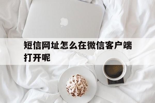 包含短信网址怎么在微信客户端打开呢的词条 包含短信网址怎么在微信客户端打开呢的词条