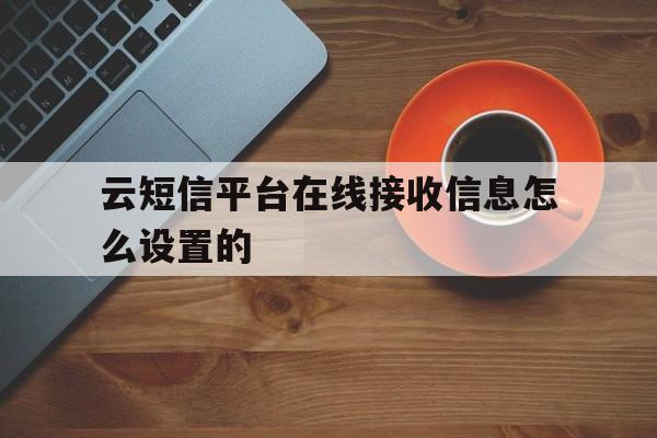 云短信平台在线接收信息怎么设置的 云短信平台在线接收信息怎么设置的