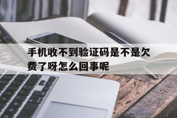 手机收不到验证码是不是欠费了呀怎么回事呢 手机收不到验证码是不是欠费了呀怎么回事呢
