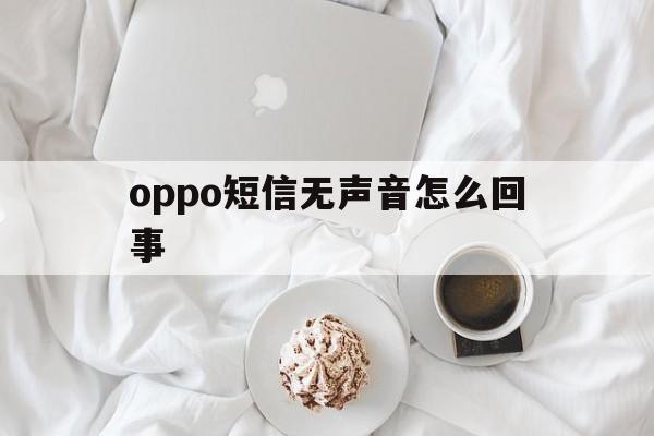 oppo短信无声音怎么回事 oppo短信无声音怎么回事