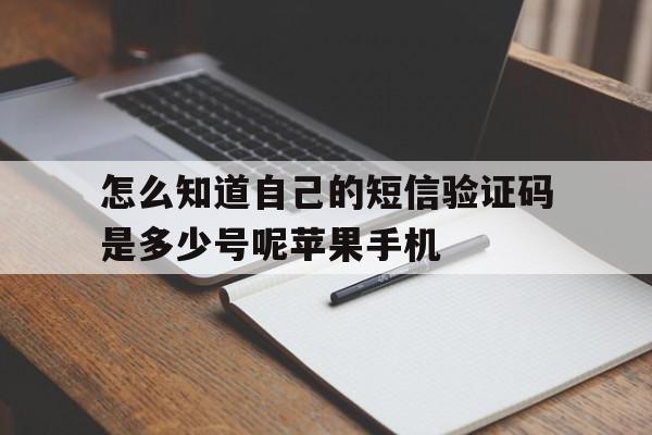 怎么知道自己的短信验证码是多少号呢苹果手机的简单介绍 怎么知道自己的短信验证码是多少号呢苹果手机的简单介绍