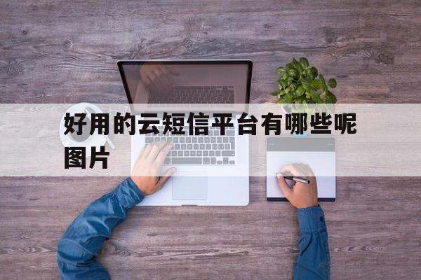 好用的云短信平台有哪些呢图片 好用的云短信平台有哪些呢图片