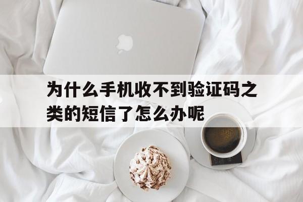 为什么手机收不到验证码之类的短信了怎么办呢 为什么手机收不到验证码之类的短信了怎么办呢