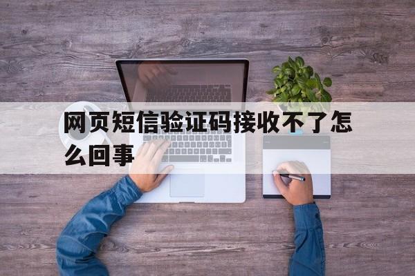 网页短信验证码接收不了怎么回事 网页短信验证码接收不了怎么回事