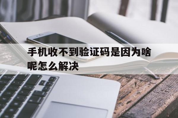 手机收不到验证码是因为啥呢怎么解决 手机收不到验证码是因为啥呢怎么解决